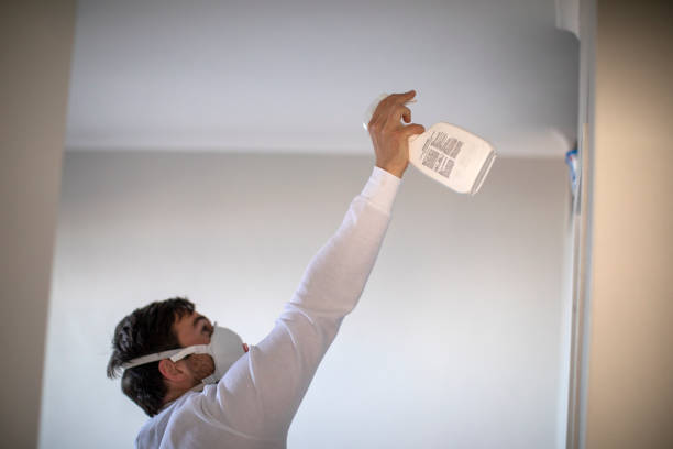 Best Post-Remediation Services in Putney, GA
